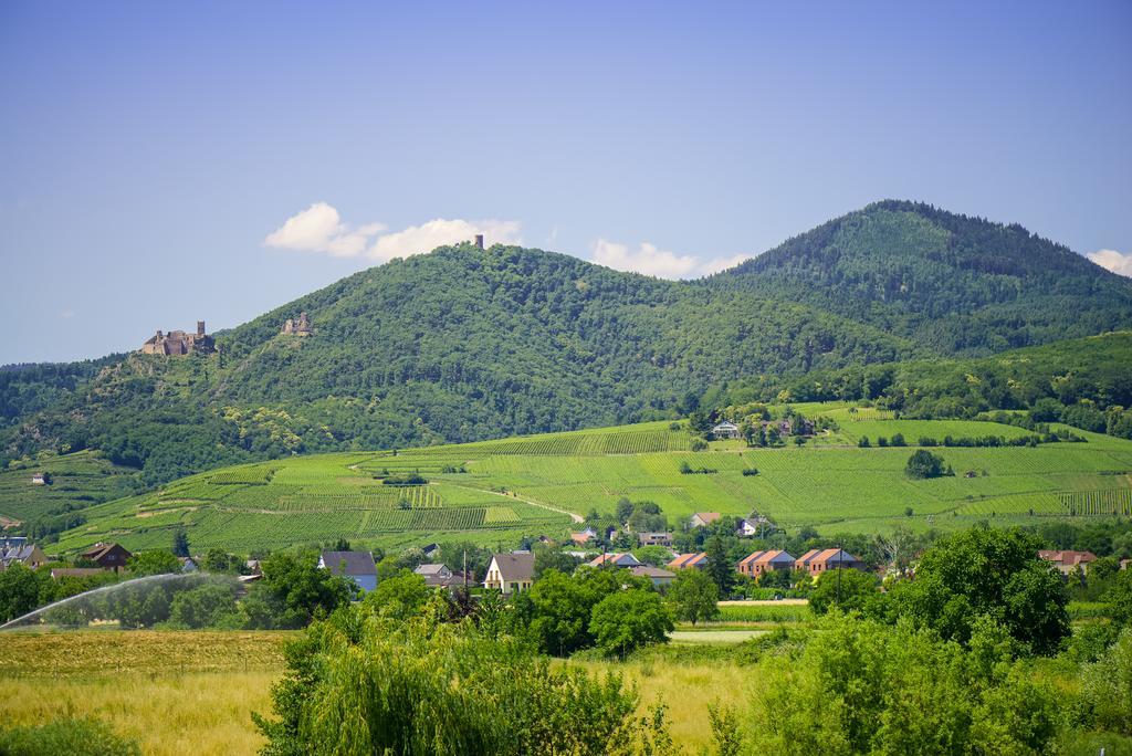 Hotel Barriere Ribeauville Zewnętrze zdjęcie